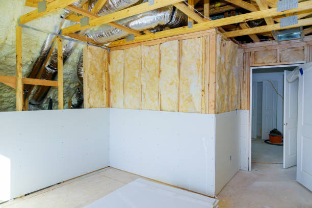 Best Residential Insulation in Sardis, MS