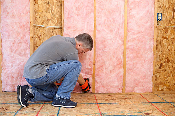 Best Specialized Insulation Services in Sardis, MS