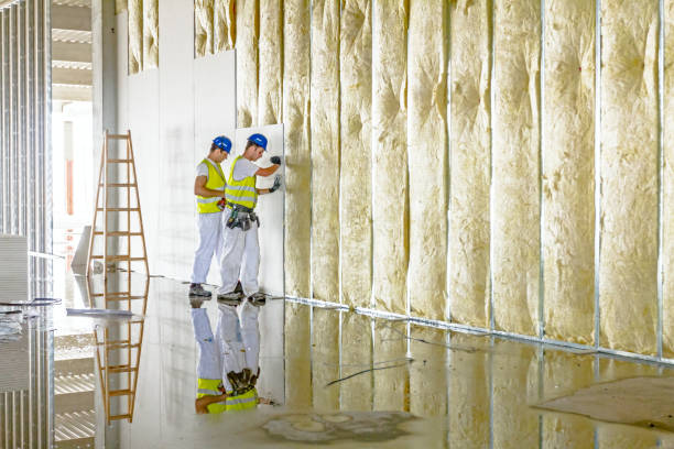 Best Geographic-Specific Insulation Services in Sardis, MS
